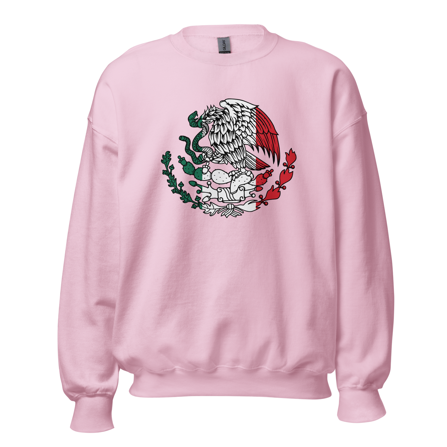 Mexico Eagle Flag Design